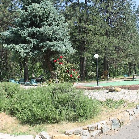 Golden Chain Motel Grass Valley Luaran gambar