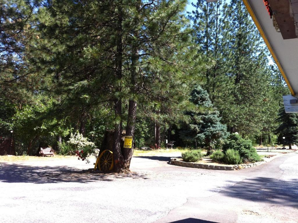 Golden Chain Motel Grass Valley Luaran gambar